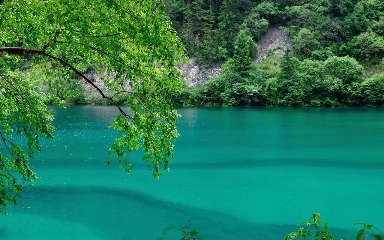 高精度高精度